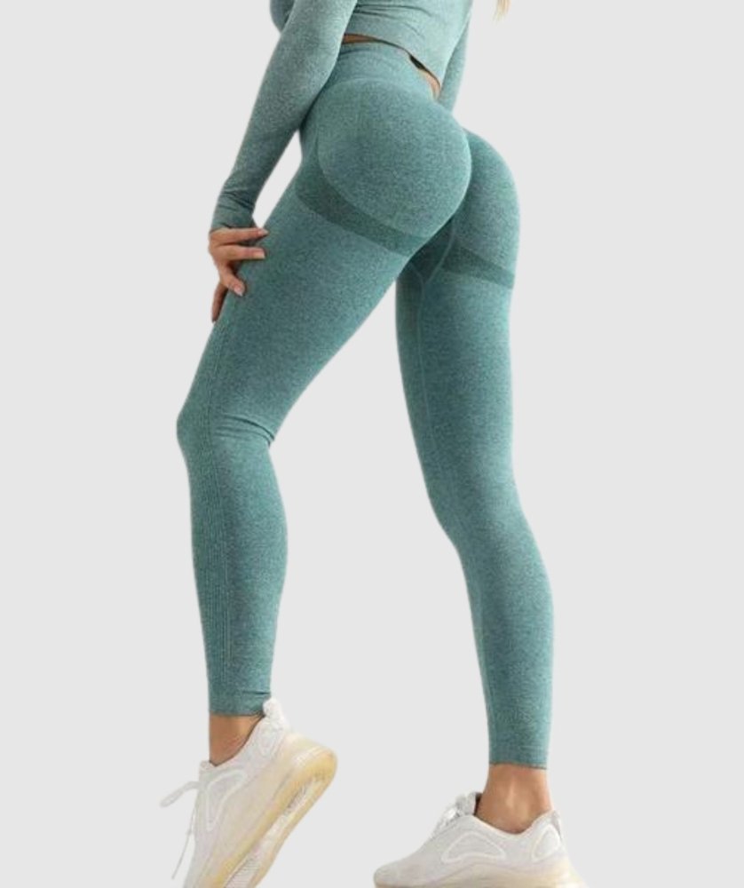 PGW Seamless Fitness Leggings - PERFORMANCE GYM WEAR