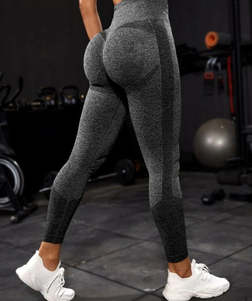 PGW Seamless Power Leggings - PERFORMANCE GYM WEAR